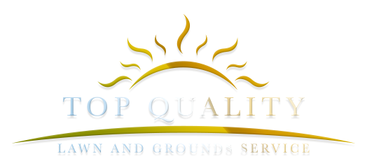 Top Quality Lawn