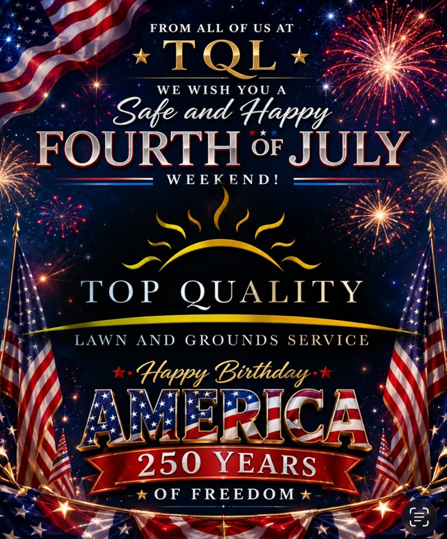 TQL 4th of July